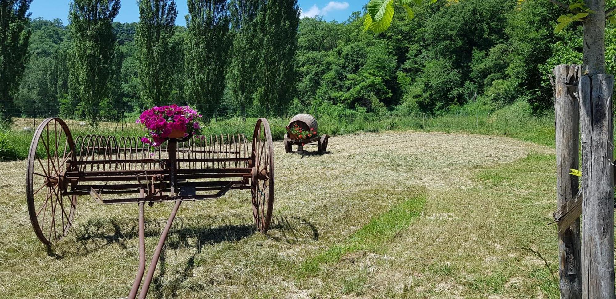 Il Ciottone Villa Nocera Umbra Luaran gambar